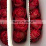 Newest Best Selling Multi-colored Fresh Cut Rose Flowers thumbnail-5