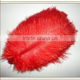 High Quality Real Natural Ostrich Feathers, Decorative Feathers Wholesale thumbnail-4