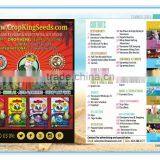 Advertisement Flyer Printing Service, Posters, Propaganda Flyers Quality Choice thumbnail-3