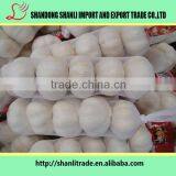 2016 New Crop Organic White Garlic Price Wholesale Chinese Garlic thumbnail-2