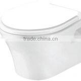 Back to Wall Washdown p Trap Toilet