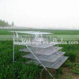 the Best Selling Products! Quail Cages and Quail Farm Equipment thumbnail-2