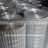 Welded Wire Mesh