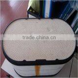 Air Filter AF27687 P613522