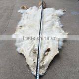 China Wholesale Raw Wolf Fur / Real Wolf Fur Skin / Natural Wolf Pelt thumbnail-3