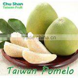 Taiwan Madou Sweet Pomelo thumbnail-1