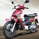 Motorcycle/Cub Motorcycle WJ110(V)(WJ-SUZUKI ENGINE)