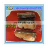 Pet Food 155g Canned Mackerel Fish in Tomato Sauce(ZNMT0063)
