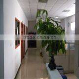 Shanghai Yacheng Plastic Products Co., Ltd. company overview - view 1 thumbnail
