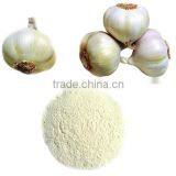 100mesh latest crop china dehydrated garlic powder