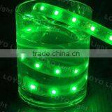 Beautiful Light 3528 LED Strip