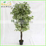 House Decoration Artificial Money Trees Plant Wood Trunk