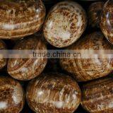 Agate Precious Stones thumbnail-1