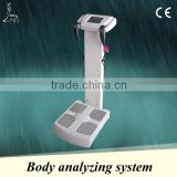 Professional body composition fat analyzer for muscle and fat analysis