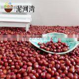 Adzuki Bean Small Red Bean 2016 Crop Hot Seal thumbnail-2