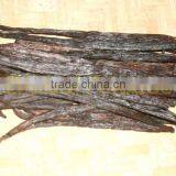 Vanilla Beans thumbnail-1