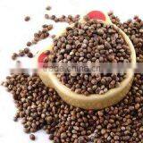 Manufacture Whlolesale High Quality Organic Hemp Seed Oil Beauty Skin thumbnail-4