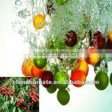 China Bio Solid Boron Humic Acid Manufacturer