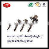 China Hardware Factory Custom Anode Steel Screw thumbnail-4