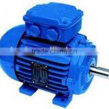 Electric Motor Three Phase Induction Motor for Industry Use thumbnail-1