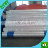 Supply 2016 LDPE Greenhouse Film for Table Grape Cover, Woven or Blow Molding Greenhouse Film,anti Hail/rain Protection Cover thumbnail-6