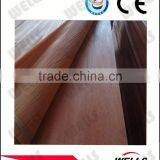 Factory Supply Good Quality 4'*8'0.3mm Rotary Veneer Okoume Face Veneer thumbnail-1