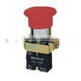 Double-headed Push Button