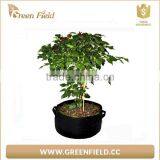 Durable High Quality Felt Root Tree Planting Bag Supplier,nursery Grow Bag thumbnail-6