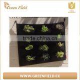 Urban Garden Vertical Planter Grow Bag Hanging Garden Planter Bags thumbnail-3
