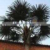 Cheap Artificial Palm Tree Artificial Coconut Palm Outdoor Coconut With Road Light thumbnail-4