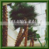 Preserved Palm Leaf Frond,dry Palm Leaf,artificial Leaf thumbnail-1