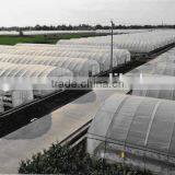 Hot Sale Film Covering Tunnel Strawberry Greenhouse thumbnail-3