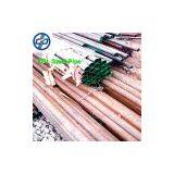 Schedule 20 Seamless Steel Pipe thumbnail-1