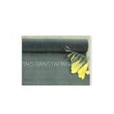 Black Wire Cloth (www.wiremesh-jiangtai.com)