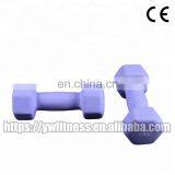 China Factory Price Colorful Fitness Accessories Dumbbell for Sale thumbnail-5