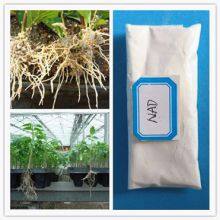 High Purity Plant Growth Regulator 1-naphthaleneacetamide Nad 98%TC thumbnail-3