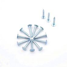 1“ Galvanized Roofing Clout Nails 1kg Box - Standard Compliant for Professional Roofing thumbnail-5