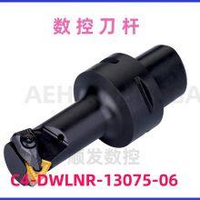 PRAMET CNC Tool Holder C5-DDUNR-35060-15 for Heavy-Duty Milling Operations thumbnail-4