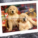 NEW 15inch HD TFT-LCD 1024*768 Digital Photo Picture Frame Alarm Clock MP3 MP4 Movie Player With Remote Desktop White