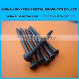 Black Concrete Construction Nails