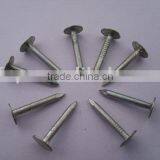 Big Flat Head Roofing Nails