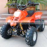 Kids Electric ATV 300W-800W Electric Quad