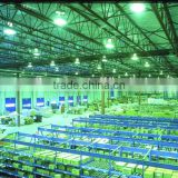 Guangzhou Steel Structure Roof Factory
