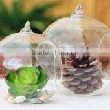 Hand Blown Different Types Clear Glass Vase Terrarium for Home Quality Choice thumbnail-2