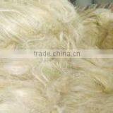 Natural Sisal Fibers for Fiber Artisans, Art and Crafts, Yarn Stores, Textile Artisans thumbnail-1