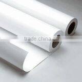 Matt pp paper, High quality Self Adhesive PP Paper