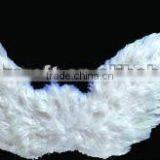 Wing
