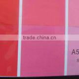 Flexographic Surface Printing Ink for Plastic Film thumbnail-5