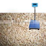 Electronic Platform Bench Scale With Reasonable Price