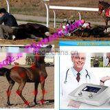 Veterinary Medical Shock Wave Therapy Equipment Shockwave Equine Equine Shock Wave Therapy Machine thumbnail-1